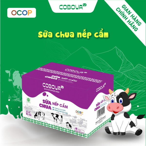 Sữa Chua Nếp Cẩm COBOVA