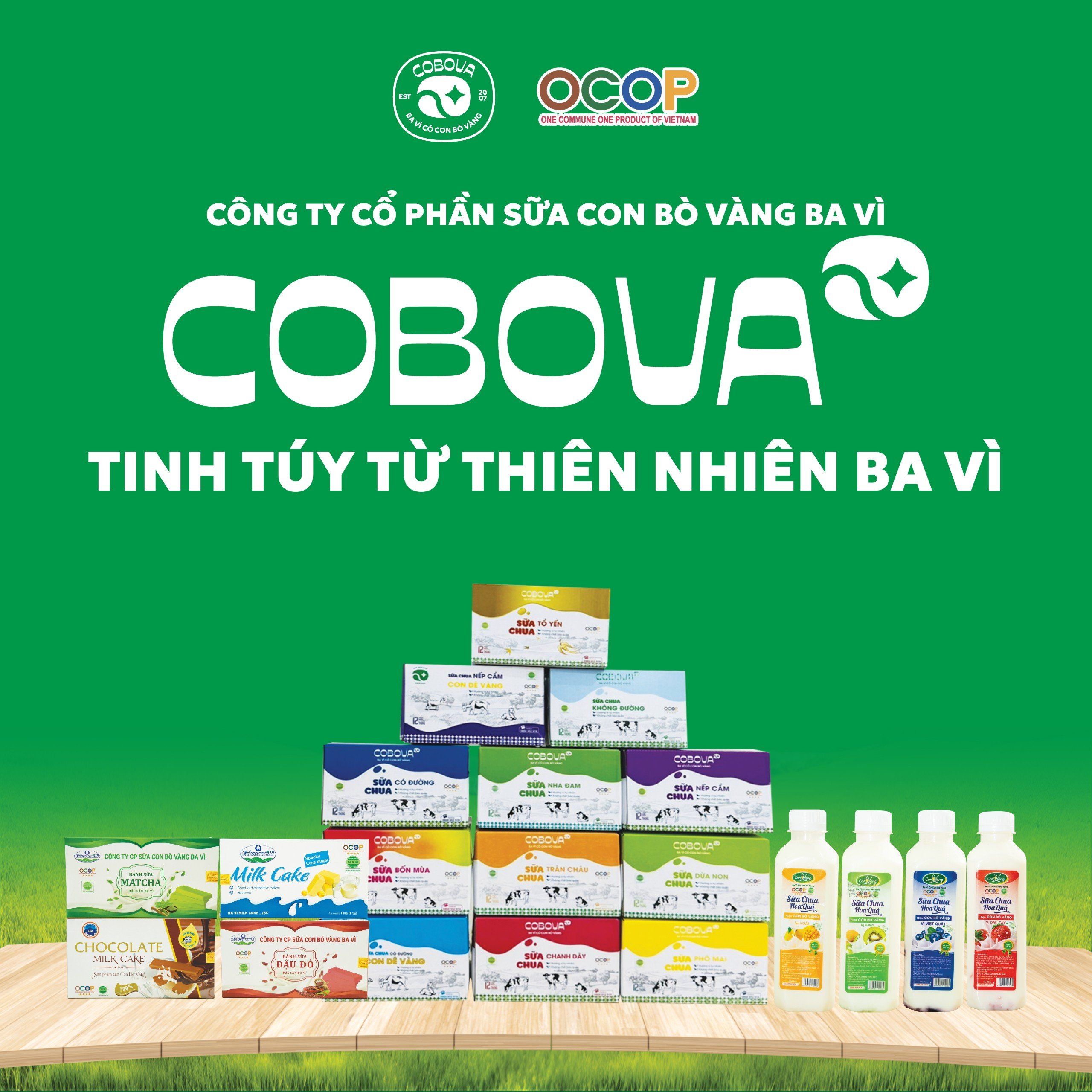 COBOVA TINH TÚY TỪ THIÊN NHIÊN BA VÌ