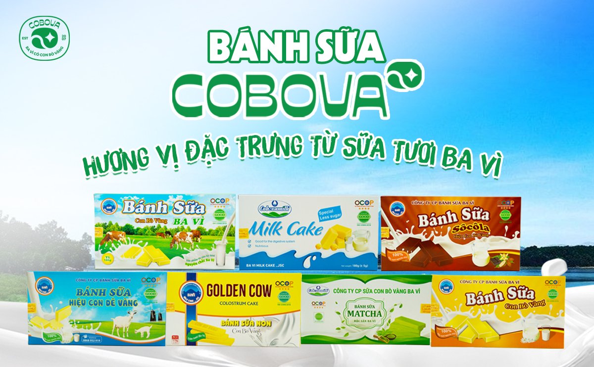 Bánh sữa COBOVA hương vị đặc trưng từ sữa tươi Ba Vì