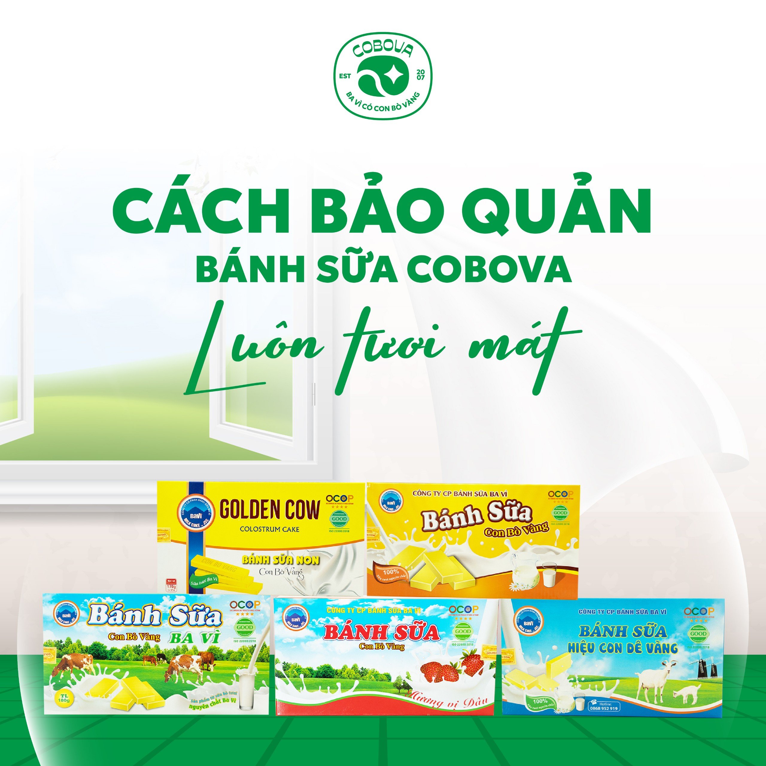 Cách bảo quản bánh sữa COBOVA luôn thơm ngon