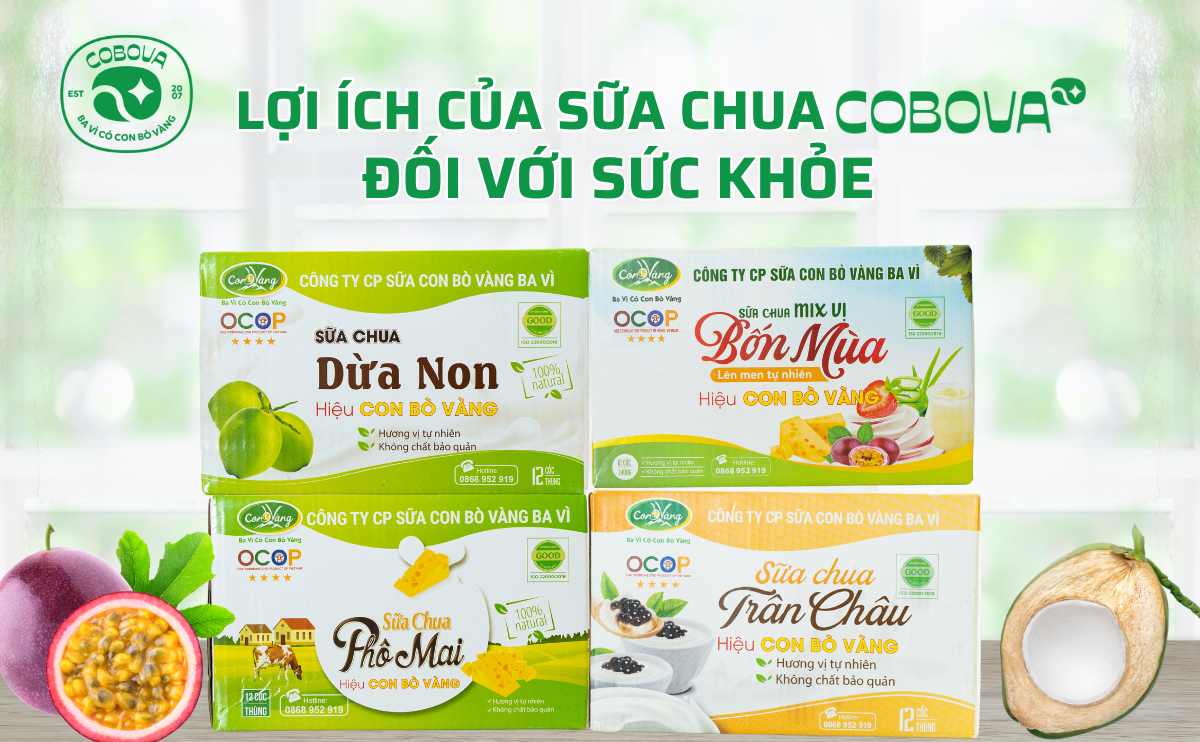 Lợi ích của sữa chua COBOVA đối với sức khỏe