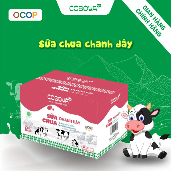 Sữa Chua Chanh Dây COBOVA