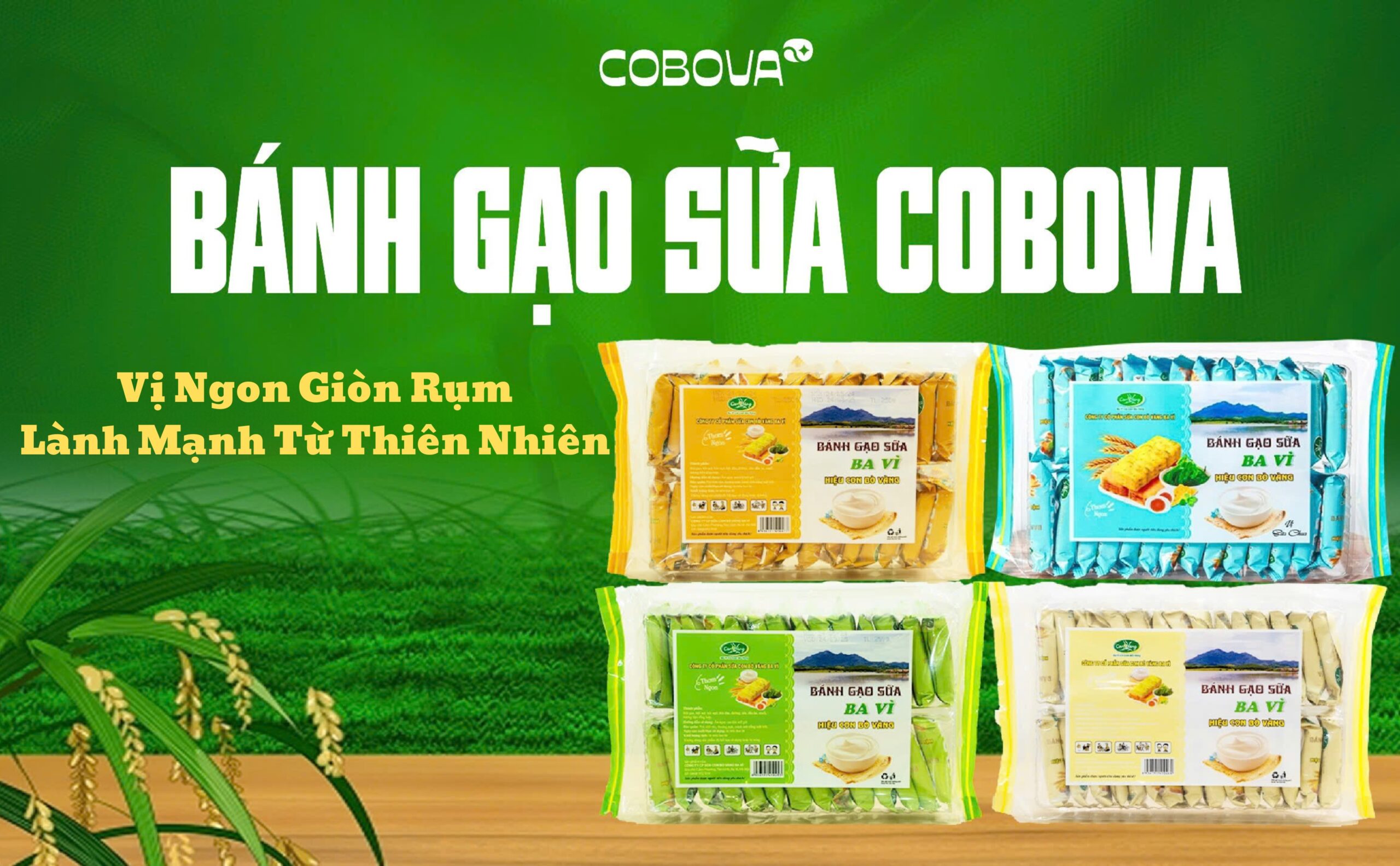 Bánh gạo sữa COBOVA vị ngon giòn rụm, lành mạnh từ thiên nhiên