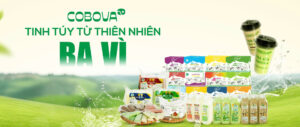 Chất Lượng Tạo Nên Thương Hiệu COBOVA – Tinh Hoa Từ Đặc Sản Ba Vì