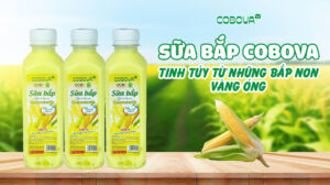 Sữa Bắp COBOVA - Tinh Túy Từ Những Bắp Non Vàng Óng