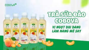 Trà Sữa Đào COBOVA - Vị Ngọt Dịu Dàng Làm Nàng Mê Say