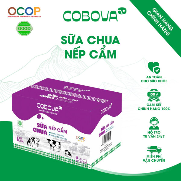 Sữa Chua Nếp Cẩm COBOVA
