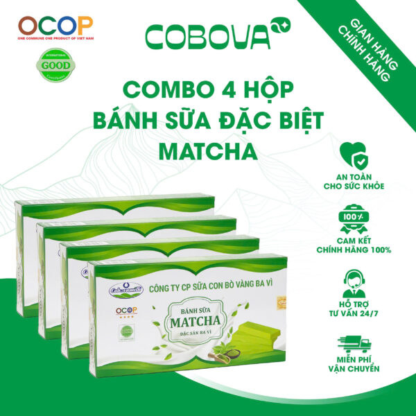 Bánh Sữa Đặc Biệt Matcha COBOVA