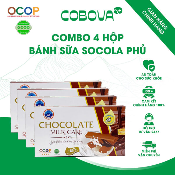 Bánh sữa socola phủ COBOVA