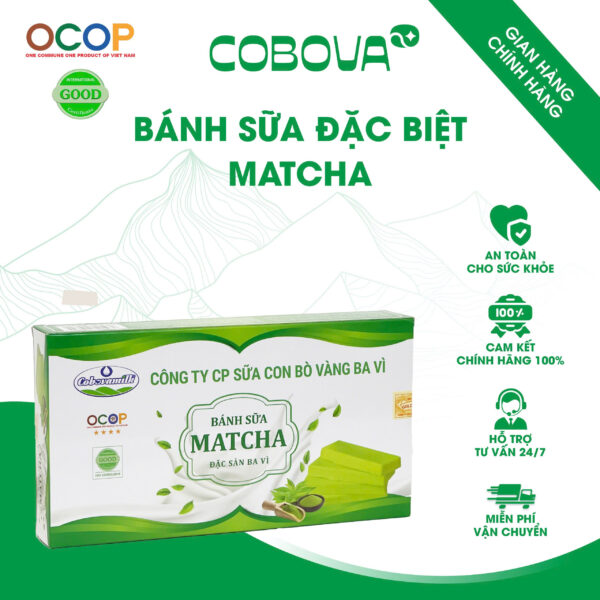 Bánh Sữa Đặc Biệt Matcha COBOVA