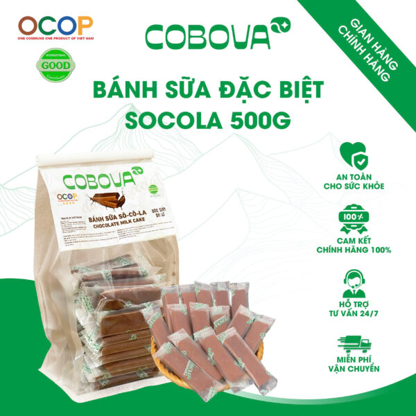 Bánh sữa đặc biệt vị Socola