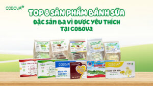 Top 8 Sản Phẩm Bánh Sữa Đặc Sản Ba Vì Được Yêu Thích Tại COBOVA