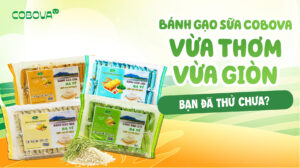 Bánh Gạo Sữa COBOVA – Thơm Ngon Giòn Tan, Bạn Đã Thử Chưa?