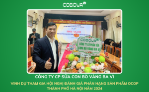 CÔNG TY CP SỮA CON BÒ VÀNG BA VÌ – VINH DỰ THAM GIA HỘI NGHỊ ĐÁNH GIÁ PHÂN HẠNG SẢN PHẨM OCOP THÀNH PHỐ HÀ NỘI 2024
