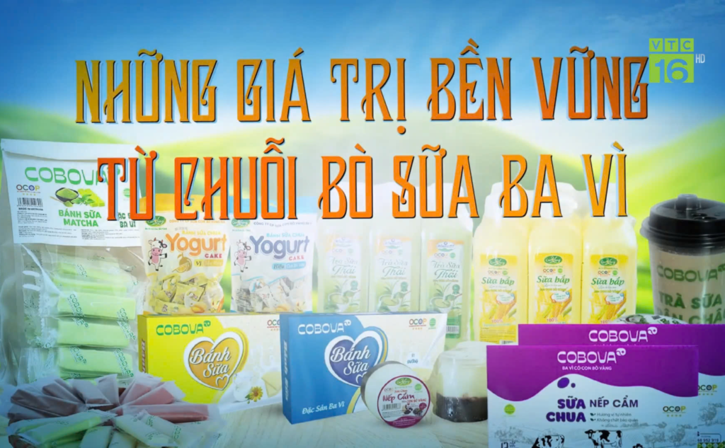 COBOVA Lan Tỏa Hương Vị Sữa Ba Vì Đến Mọi Nhà