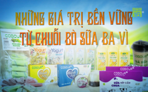 COBOVA Lan Tỏa Hương Vị Sữa Ba Vì Đến Mọi Nhà