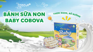 Bánh Sữa Non Baby COBOVA