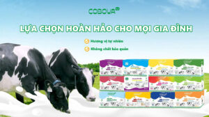 Khám Phá Sữa Chua COBOVA - Bí Quyết Chăm Sóc Sức Khỏe Và Sắc Đẹp
