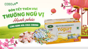 ĐÓN TẾT THÊM VUI, THƯỞNG NGŨ VỊ HẠNH PHÚC CÙNG BÁNH SỮA CHUA COBOVA