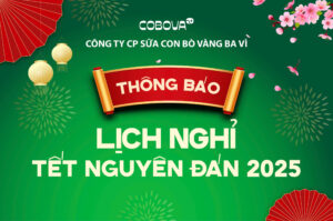 Thông Báo Lịch Nghỉ Tết Nguyên Đán 2025 COBOVA