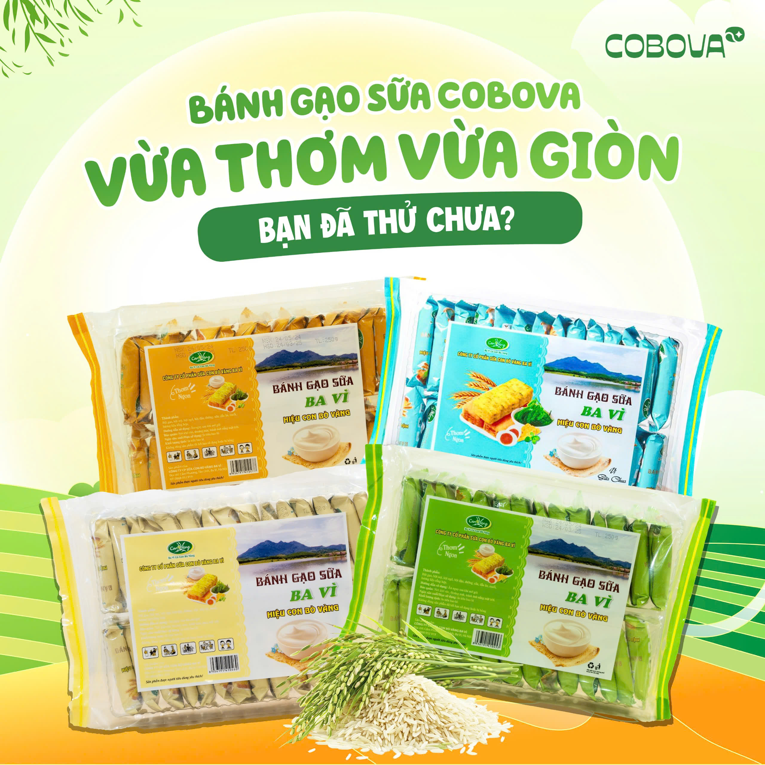Bánh Gạo Sữa COBOVA – Thơm Ngon Giòn Tan, Bạn Đã Thử Chưa?