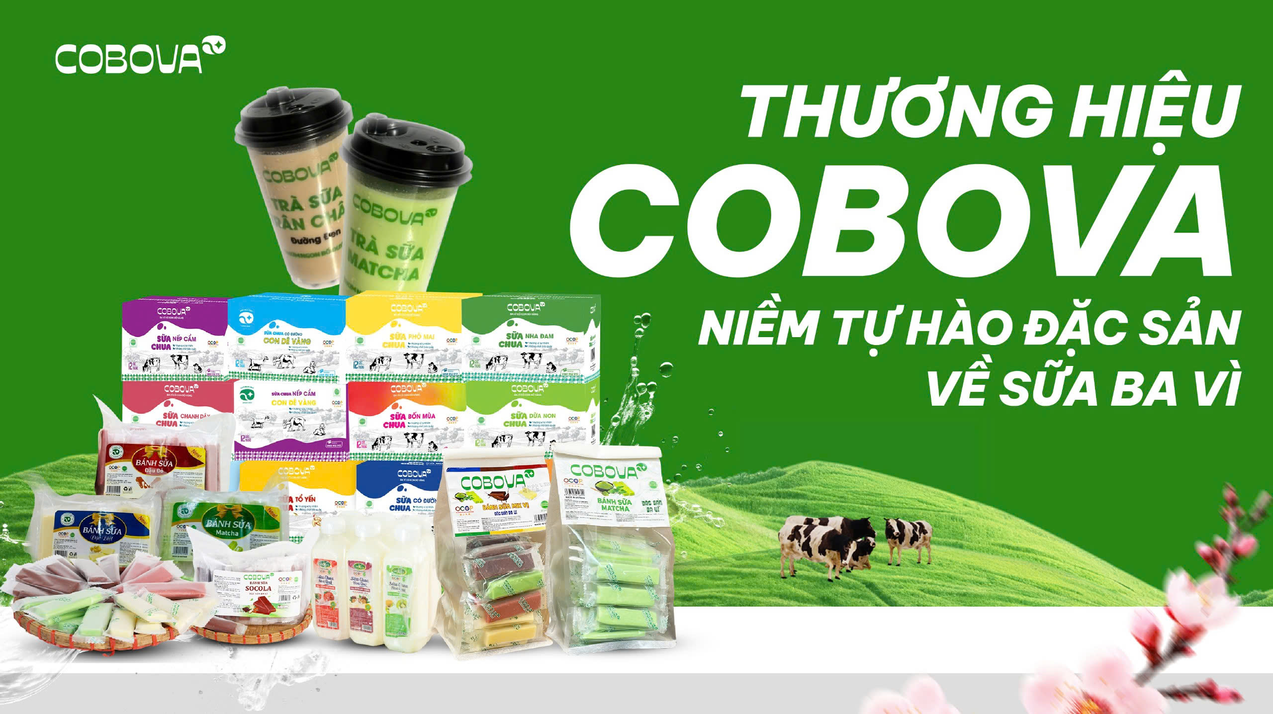 Thương Hiệu COBOVA – Niềm Tự Hào Đặc Sản Về Sữa Ba Vì
