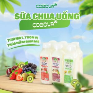 Sữa Chua Uống COBOVA - Tươi Mát, Trọn Vị, Thỏa Niềm Đam Mê