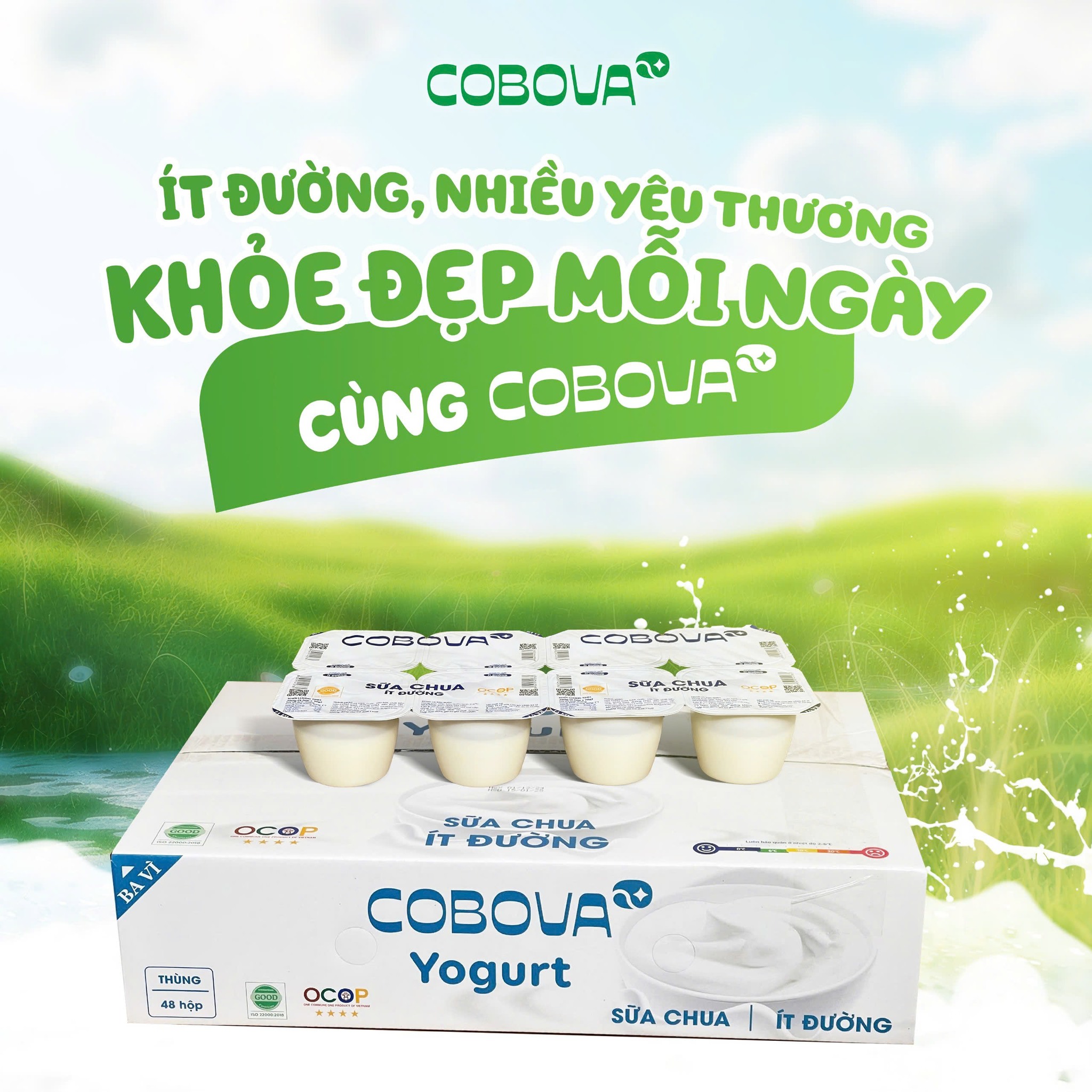 Sữa Chua Ít Đường COBOVA - Lựa Chọn Cho Sức Khỏe Và Vóc Dáng