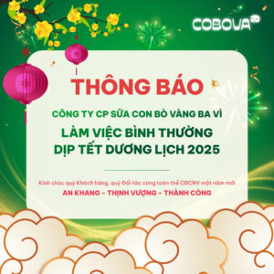 Thông Báo Lịch Làm Việc Tết Dương Lịch 2025 - COBOVA Luôn Sẵn Sàng Phục Vụ Khách Hàng