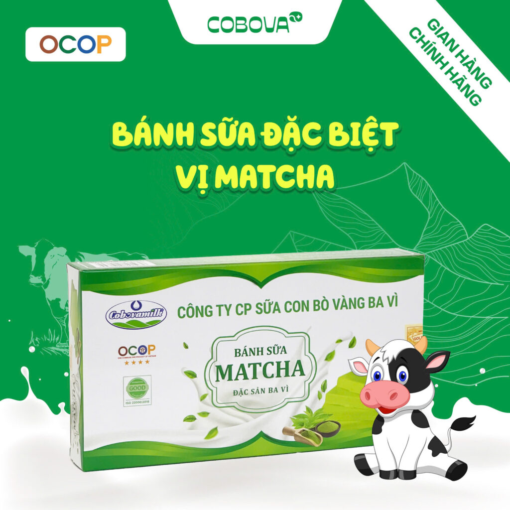 bánh sữa đặc biệt matcha