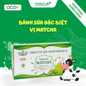 bánh sữa đặc biệt matcha
