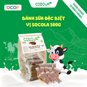 bánh sữa vị socola 500g