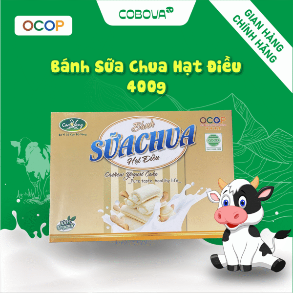 Bánh Sữa chua điều 500g