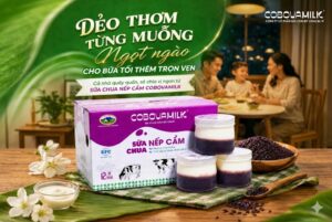 Sữa chua nếp cẩm