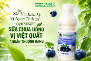 Sữa Chua