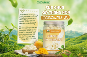 Sữa Chua Sấy Thăng Hoa