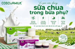 Sữa chua