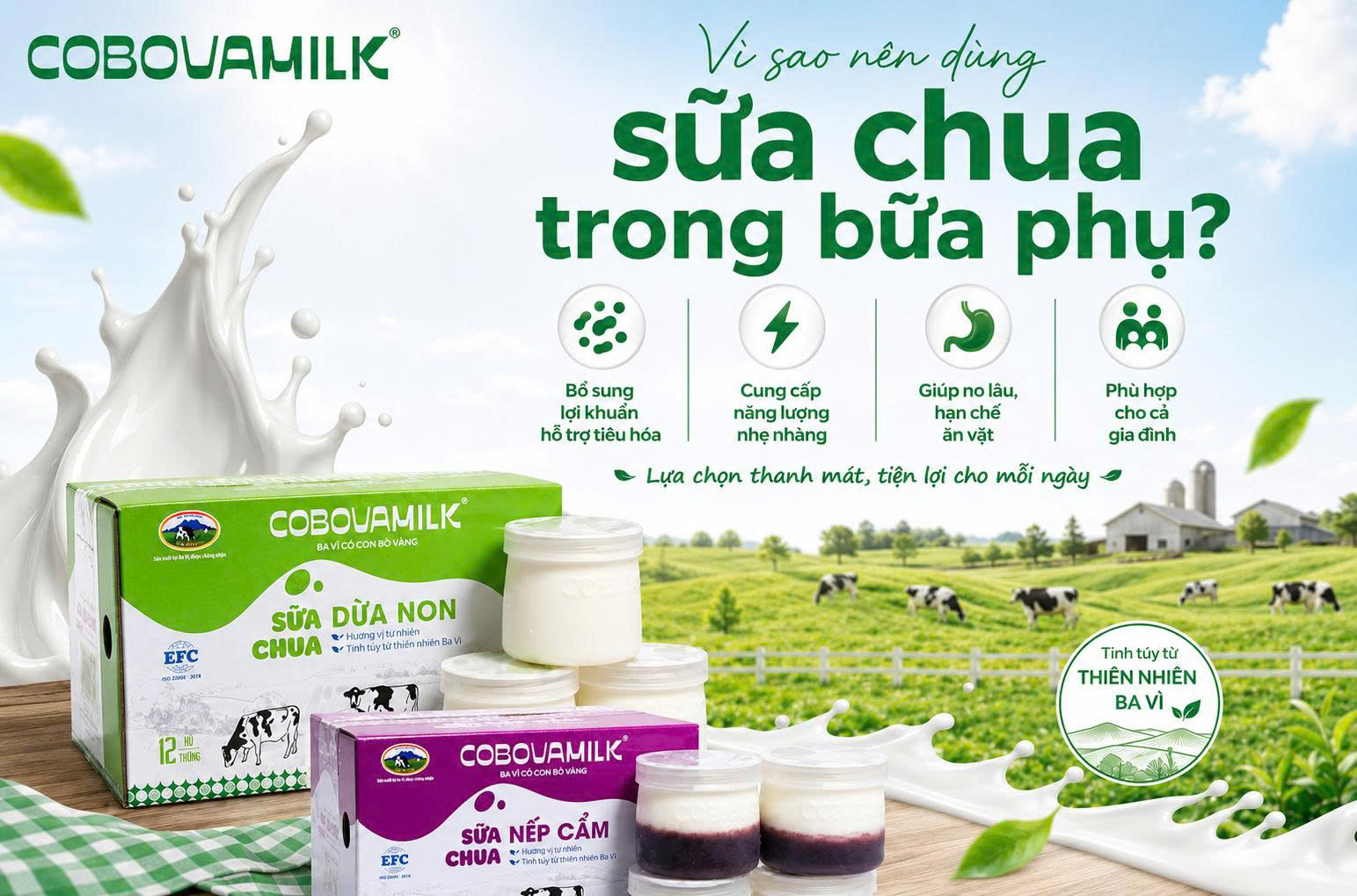 Sữa chua